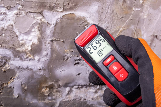 Best Professional Mold Removal  in Sibley, LA