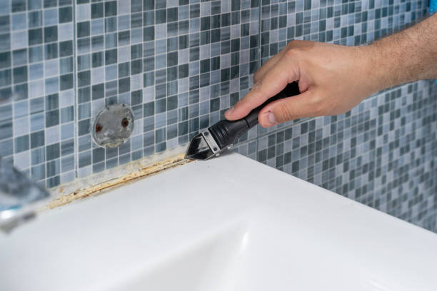 Best Toxic Mold Removal  in Sibley, LA